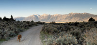 Elwood's Sunrise Hike