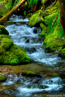 Oregon Cascade