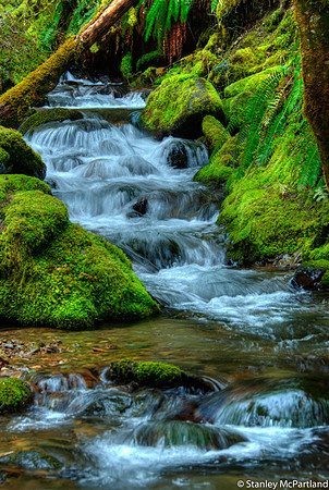 Oregon Cascade