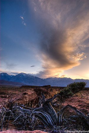 Sierra Sunset and Sage