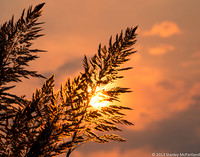 Wildfire Sunset
