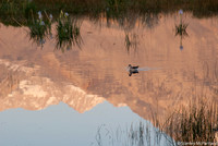 Bishop Reflections