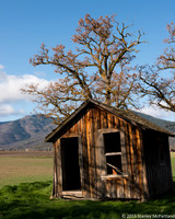 Shasta Cabin