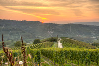 Serralunga d'Alba